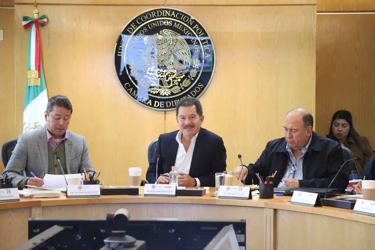 Aprueban convocatoria para renovar a cuatro consejeros del INE