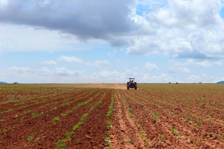 El Congreso aprueba en lo general el Presupuesto de Egresos 2022, sin ampliaciones para la agricultura comercial