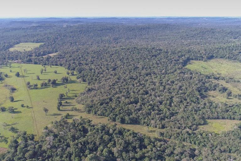$!La imagen aérea del corredor Urugua-í/Foerster permite observar las diferentes etapas de reforestación de las zonas que van dejando la actividad agrícola-ganadera. Foto: Roberto Simonetti / Conservación Argentina.