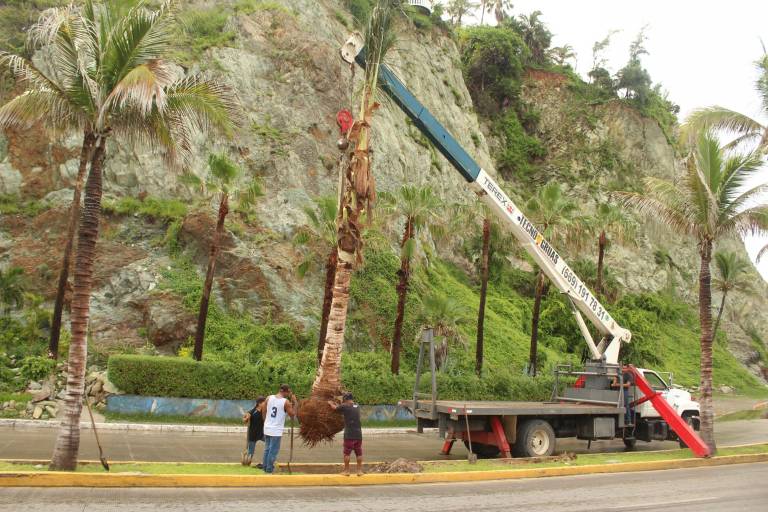RedPetroil contribuye al embellecimiento de Mazatlán