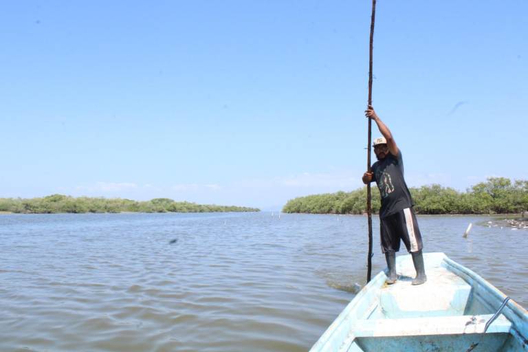 Comisión de Pesca en el Congreso del Estado está al tanto de la situación del sur: Dirigente