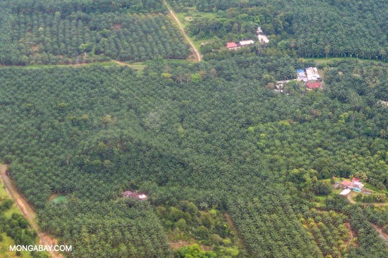$!Los científicos piden solucionar las crisis del clima y de la biodiversidad a la vez