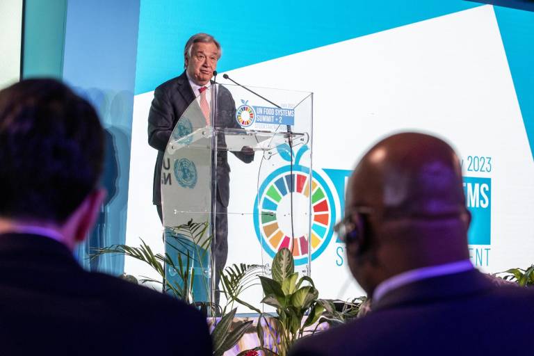 Arranca la Cumbre sobre sistemas alimentarios