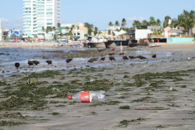 Se mantiene sucia Playa Norte en Mazatlán