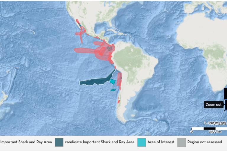 $!En el siguiente enlace encontrarás el mapa donde es posible conocer más sobre cada una de las ISRAS identificadas: https://sharkrayareas.org/e-atlas/