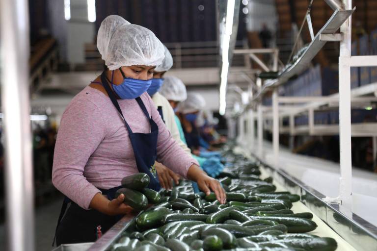 PIB de México creció 0.2% durante el segundo trimestre 2024