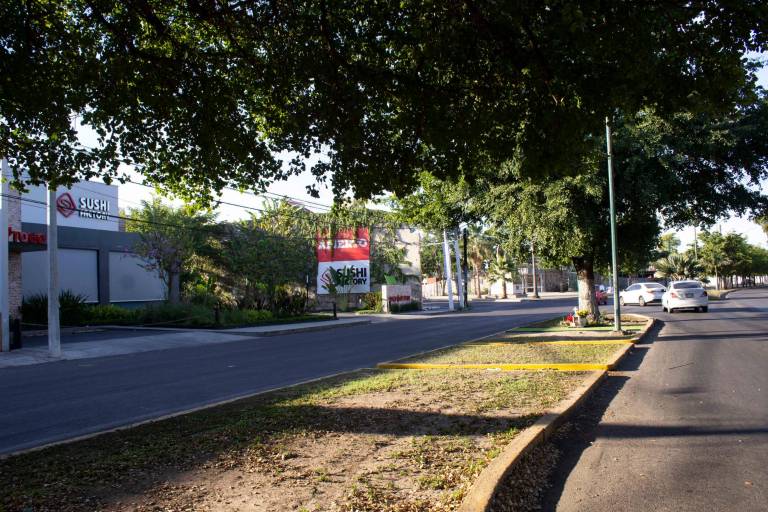 EXPRESIONES DE LA CIUDAD: La generación del Patinerama