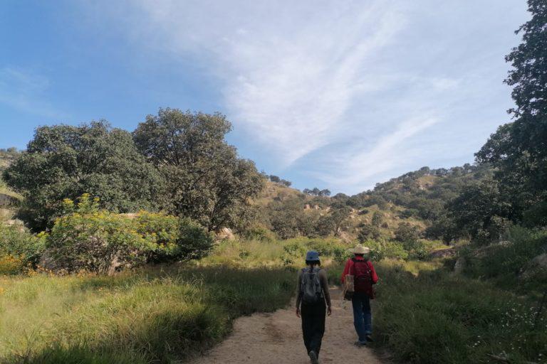 $!Al fondo se observa parte del Área de Protección Hidrológica Municipal Bosque El Nixticuil-San Esteban-El Diente (Bensedi), que tiene mil 591 hectáreas.