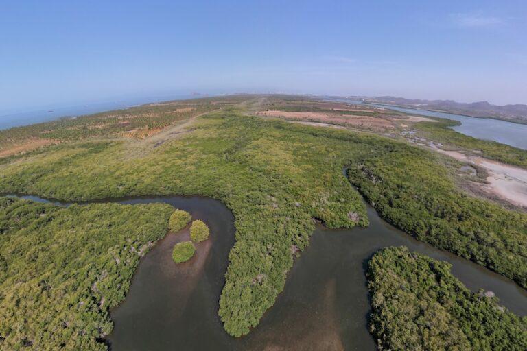$!Así se aniquila al Estero de Urías, uno de los más contaminados de México y el mundo