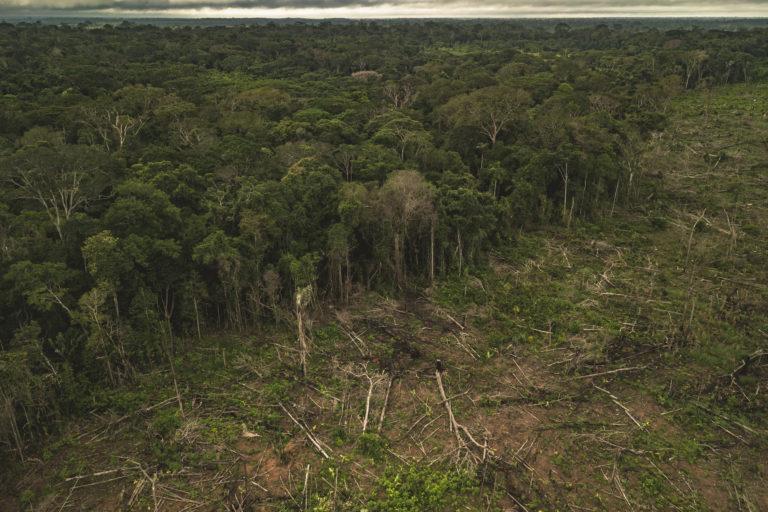$!Deforestación en la Amazonía.