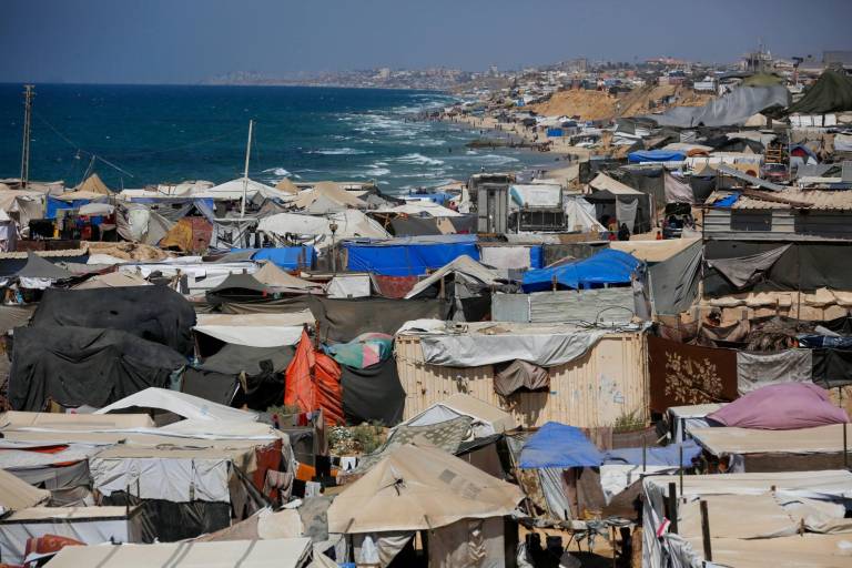 Vacunación contra la polio en Gaza se hará durante las pausas humanitarias: OMS