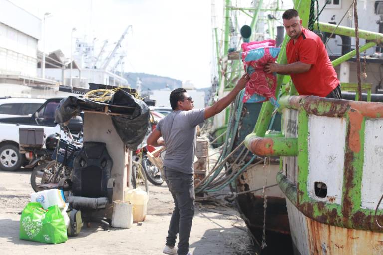 Solo el 40% de la flota de Mazatlán saldrá a la pesca del camarón esta temporada