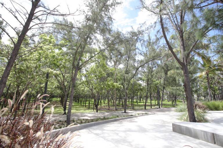 Baja Gobierno de Sinaloa deuda pública en un 46 por ciento