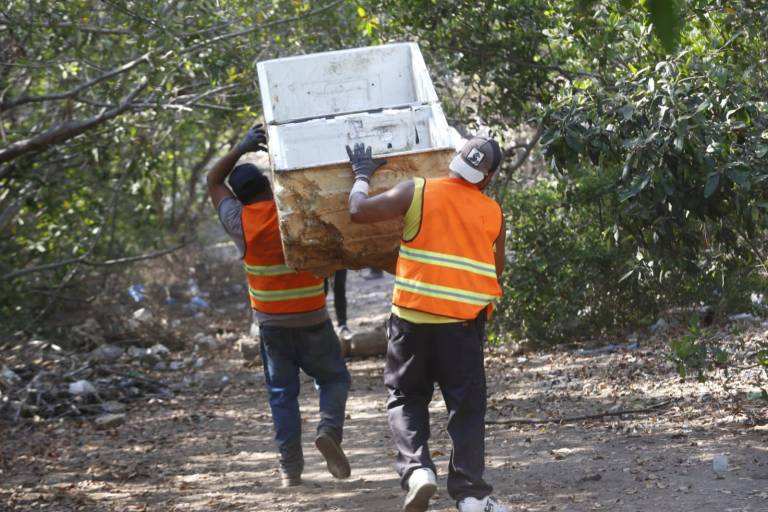 Mazatlán, al rescate del Estero del Infiernillo; prevén recoger 25 toneladas de basura este sábado