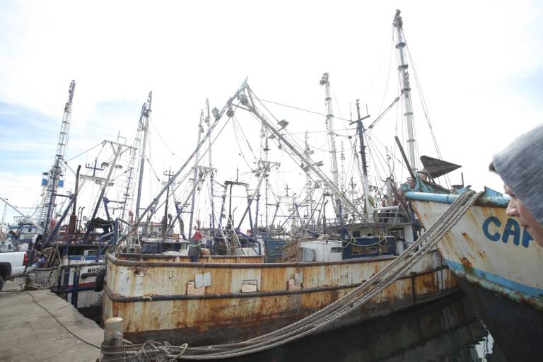 Está amarrado el 90% de la flota camaronera, esperan inicio de la veda; solo 10% anda en altamar