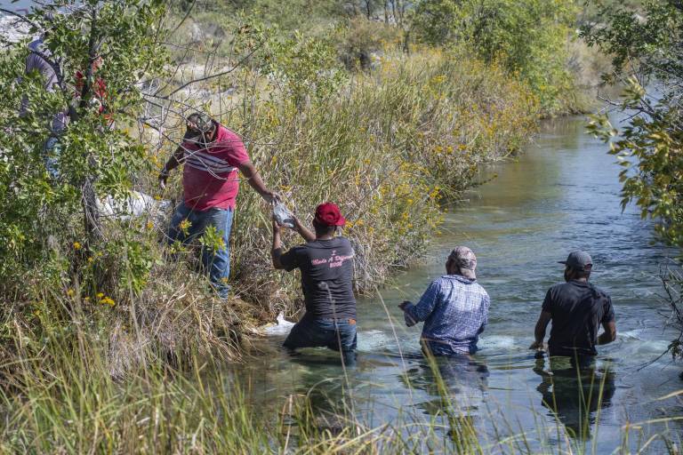 Salvar o destruir el Valle de Cuatrociénegas