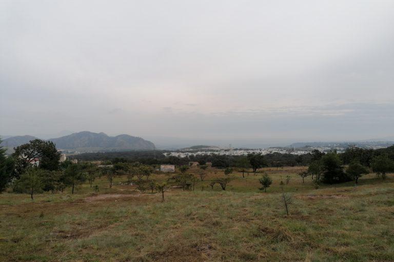 $!Los miembros del Comité y vecinos de las colonias cercanas al bosque aseguran que el uso del fuego es recurrente en la zona para cambiar el uso de suelo.