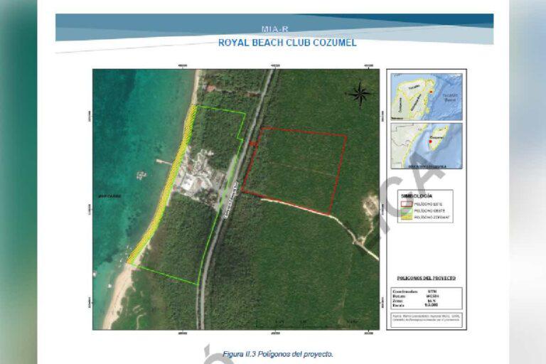 $!Contaminación y pérdida de flora y fauna: los 15 impactos ambientales del nuevo proyecto de Royal Caribbean en Cozumel