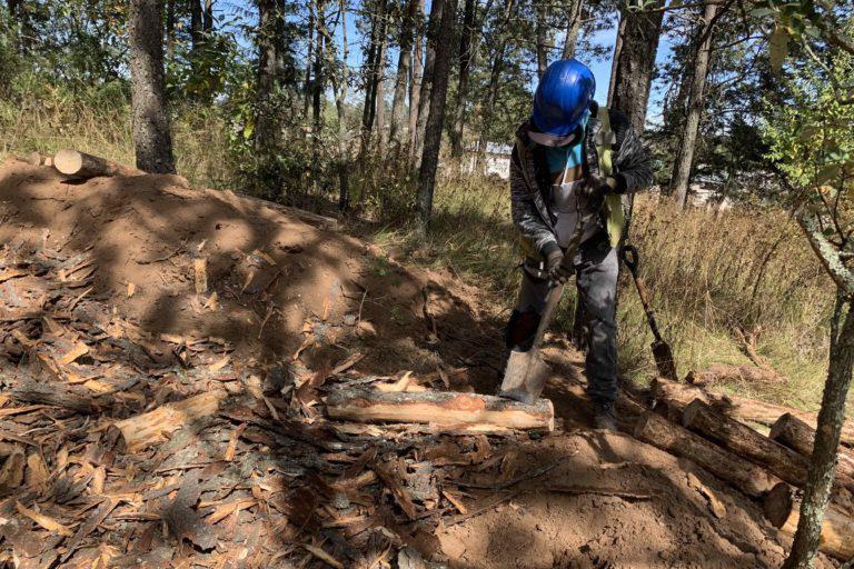 $!En el Ejido La Estancia quitan la corteza de árboles que se han tenido que talar por la presencia del escarabajo descortezador.