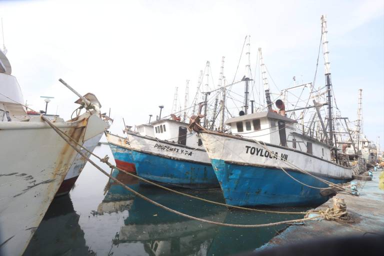 Vedas de papel: la pesquería de camarón en México: Causa Natura