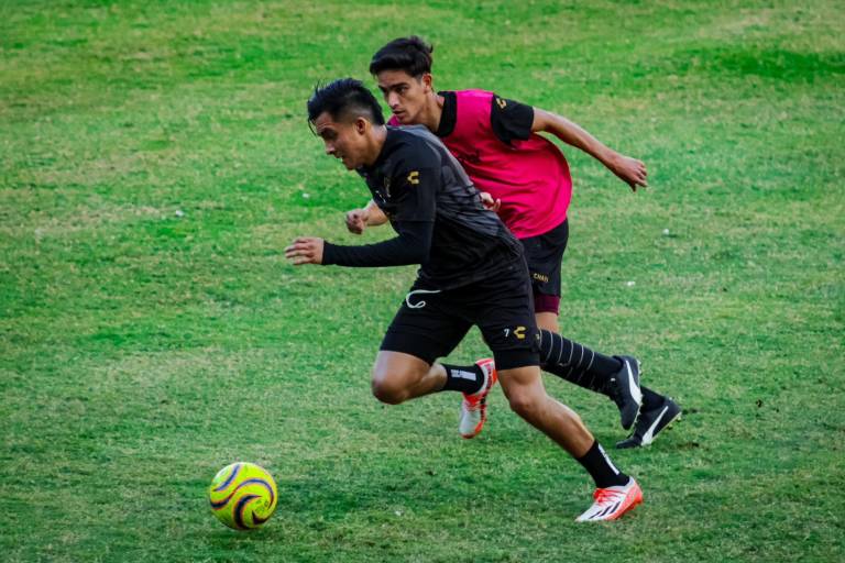 Dorados de Sinaloa recibe a Cimarrones de Sonora en busca de sumar los tres puntos