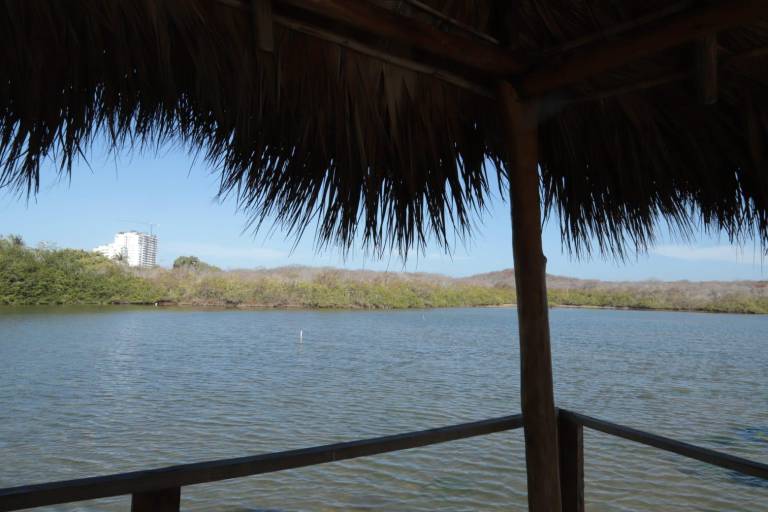 Piden proteger ecosistemas de Mazatlán ante crecimiento inmobiliario