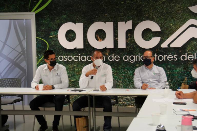 Discuten productores rentabilidad de maíz amarillo