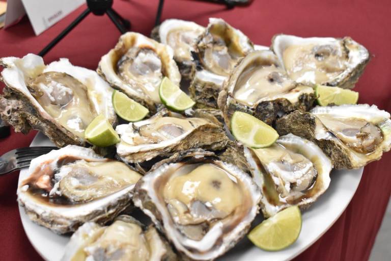 Inicia este viernes la Feria del Ostión; esperan de $17 a $20 millones de derrama económica