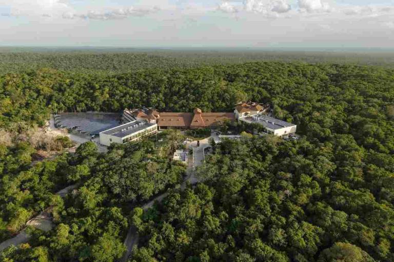 La Gran Selva Maya será un corredor biocultural, pese a la ampliación del Tren Maya en Guatemala