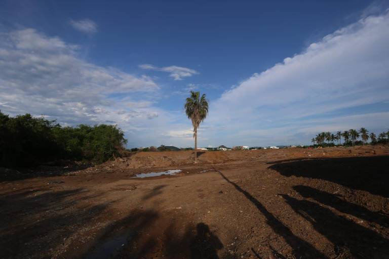 Cortan el listón de Marina Cerritos Condominios en Mazatlán