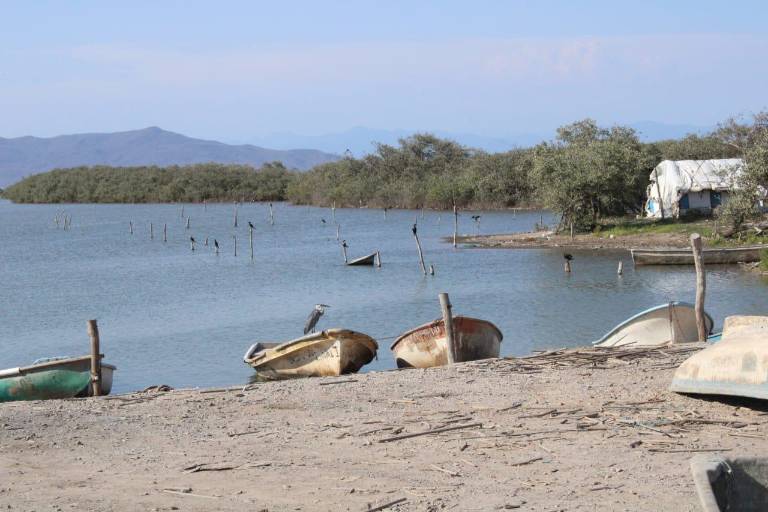 Descartan necesaria más vigilancia en esteros de Rosario: ‘Es incosteable hasta para el pescador furtivo’
