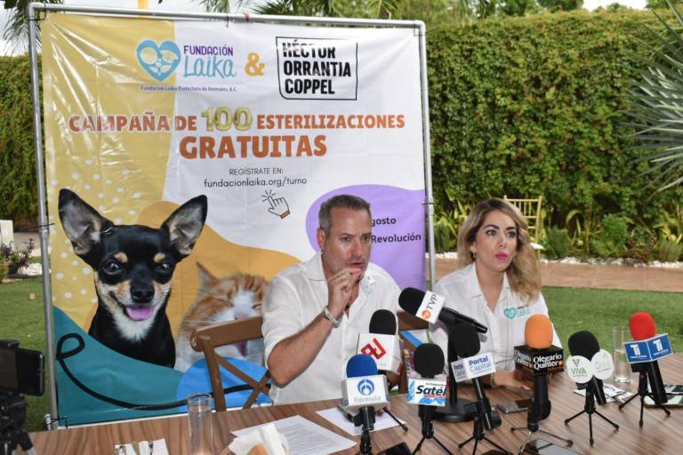Invitan en Culiacán a campaña de esterilizaciones gratuitas para perros y gatos