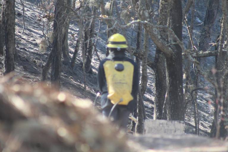 Con rastrillos y palas, brigadistas combaten incendios forestales en Sinaloa