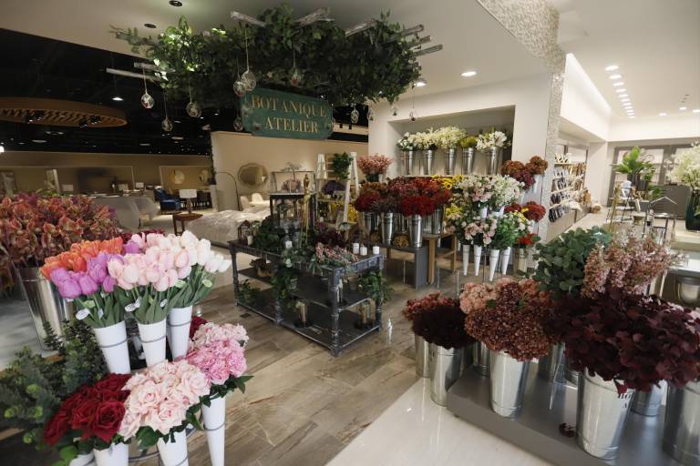 Cimaco Ceiba Culiacán abrirá al público el 21 de octubre 2021