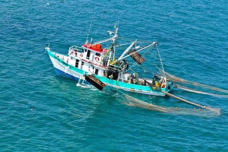 Alertan que pesca ilegal amenaza ecosistemas marinos y comunidades