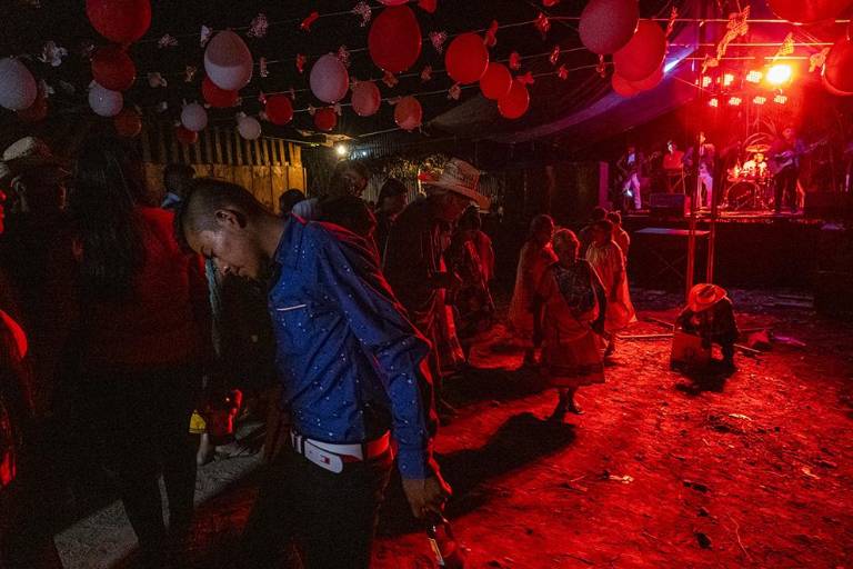 Montaña estrella- Flor del tiempo