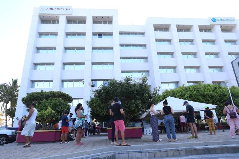 Turistas asisten a votar en casilla especial de Conapesca, en Mazatlán