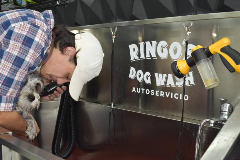 Ringo’s Dog Wash: el primer autoservicio de baño canino en Mazatlán