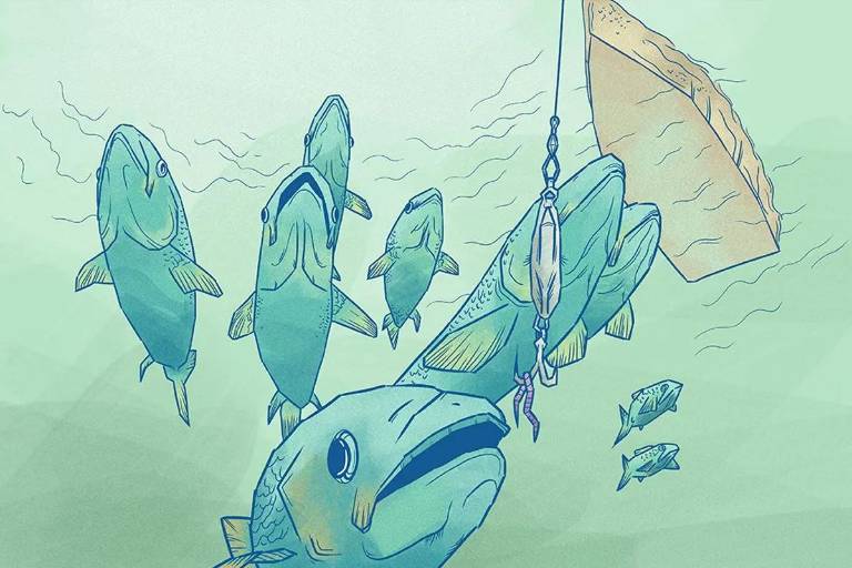 Trazabilidad pesquera: cuando cambia el bacalao por tiburón