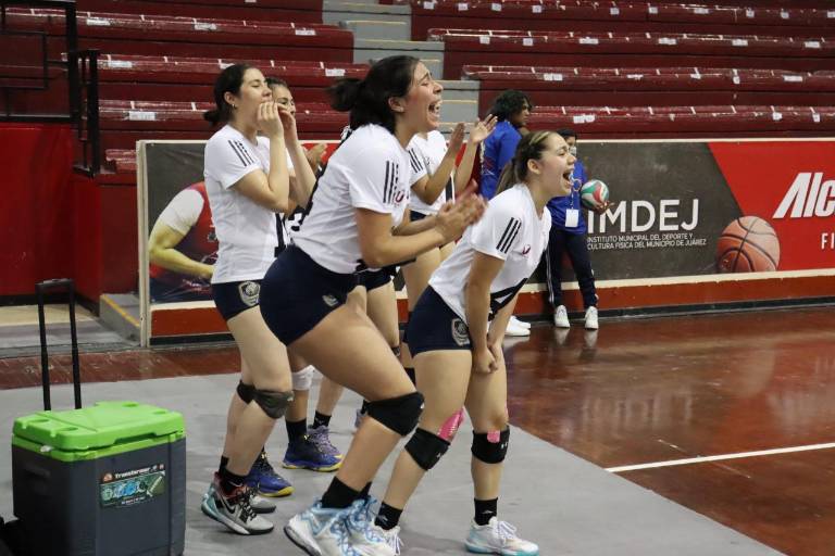 Aparecen las primeras propuestas para el Premio Alfredo Cuén que otorga la UAS