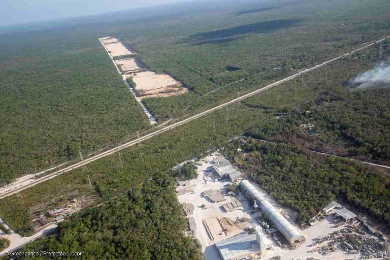 ‘Contradictoria’ la política ambiental de Sheinbaum en su primer año de gobierno; advierten Greenpeace México y activistas