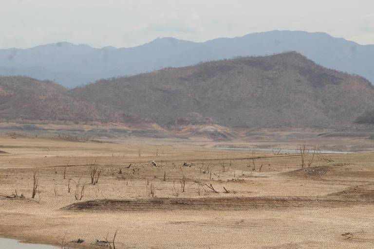 Bacurato, el pueblo que no se dobla ante la sequía