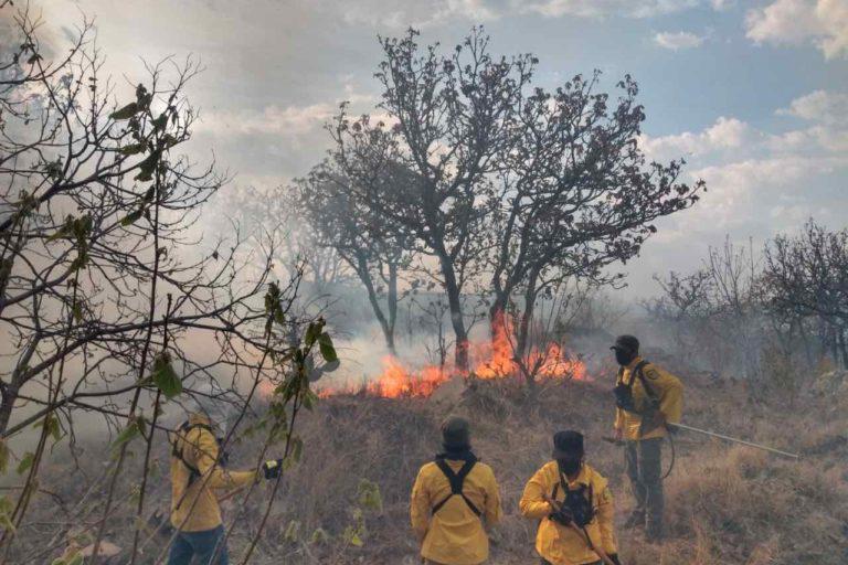 $!El 5 de febrero de 2021 se incendiaron diez hectáreas del bosque El Nixticuil.