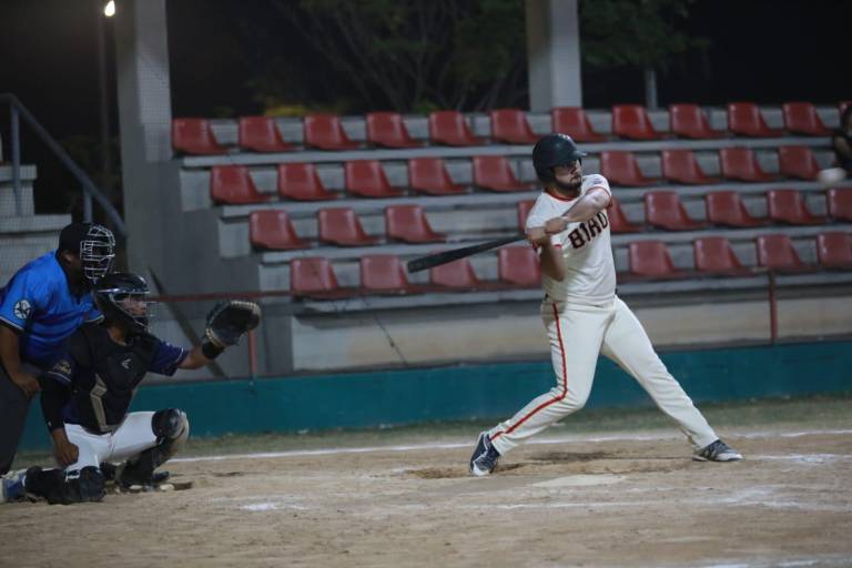 Vuela Bird en lo alto del Beisbol de Primera Fuerza