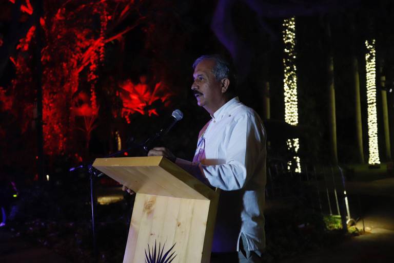 Viven una iluminada ‘Navidad en el Jardín’