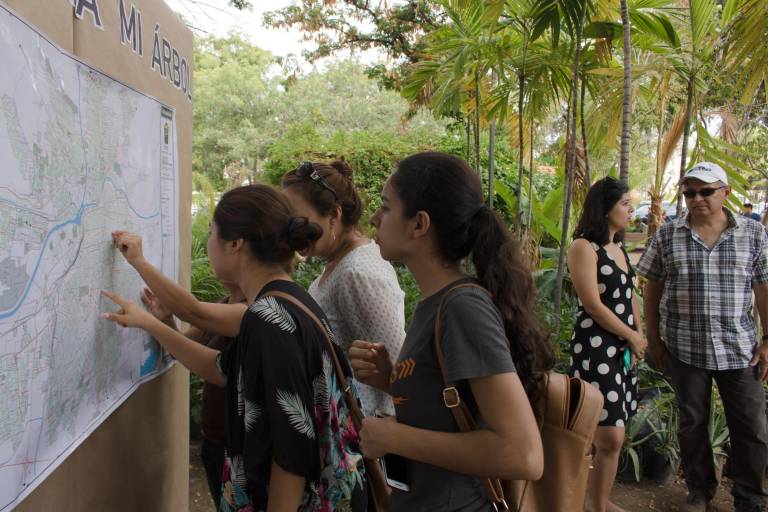 Por la reforestación sinaloense