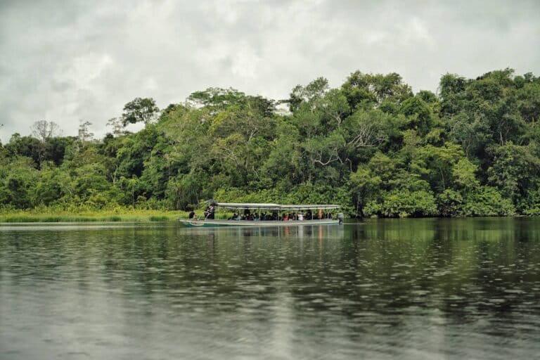 $!La flotilla indígena Yaku Mama recurrió parte del Parque Nacional Yasuní, una de las zonas más biodiversas del planeta y de la Amazonía ecuatoriana.