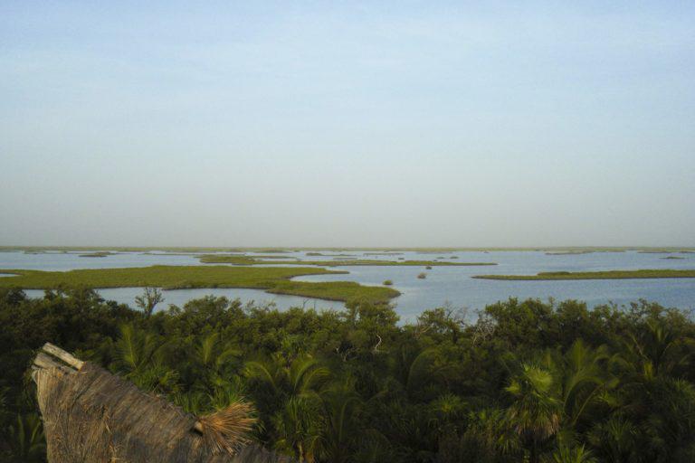 $!México: ¿áreas marinas protegidas sólo en el papel?