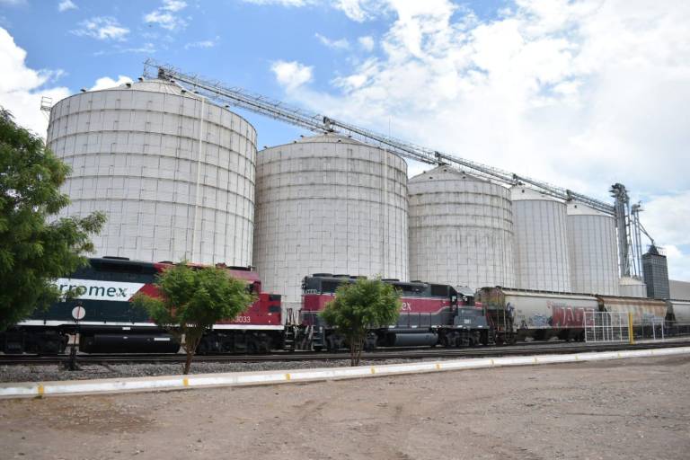 Pago a 8 mil productores de maíz aún está pendiente en Sinaloa