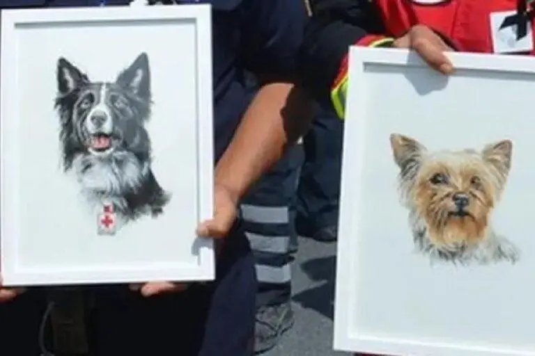 $!Caso Athos y Tango: alertan sobre resolución de Tribunal que reduce condena por el envenenamiento de los perros rescatistas